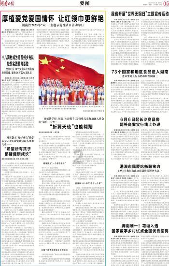 强大的狮子拼图